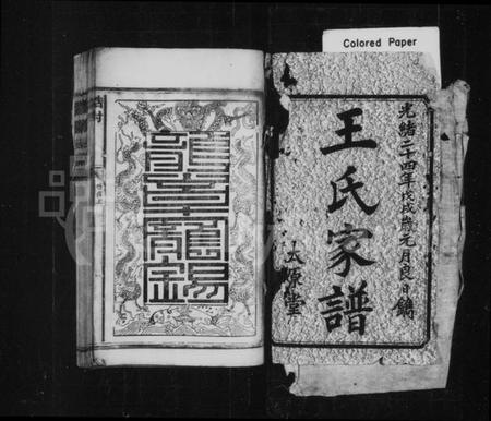 湖南王氏族谱-王氏家谱 [不分卷].pdf电子版插图5