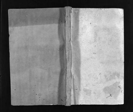 湖南王氏族谱-王氏应贵公支谱 [10卷].pdf电子版插图1