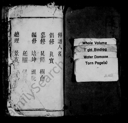 江西李氏族谱-陇西李氏族谱 [32卷,及卷首].pdf电子版插图2