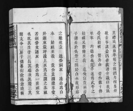 湖南王氏族谱-王氏应贵公支谱 [10卷].pdf电子版插图3