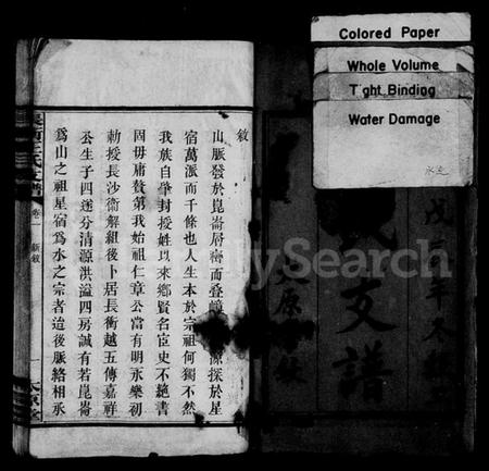 湖南王氏族谱-王氏支谱 [10卷,含首1卷].pdf电子版插图2