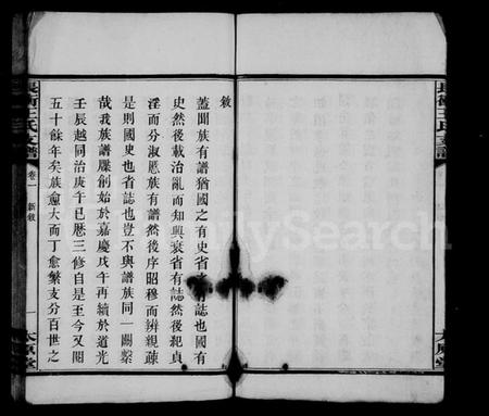 湖南王氏族谱-王氏支谱 [10卷,含首1卷].pdf电子版插图5