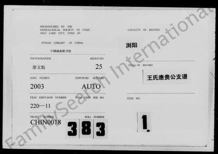 湖南王氏族谱-王氏支谱 [10卷].pdf电子版