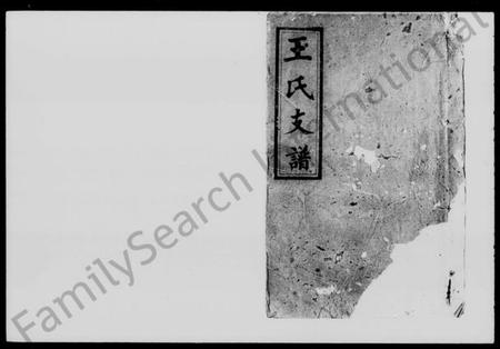 湖南王氏族谱-王氏支谱 [10卷].pdf电子版插图1