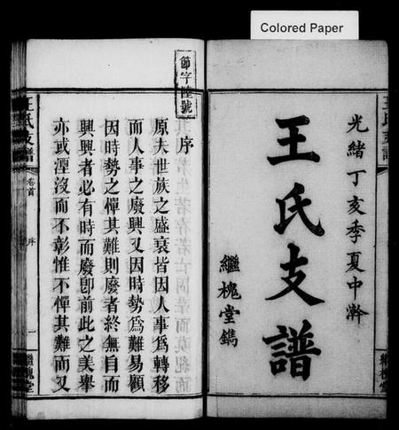 湖南王氏族谱-王氏支谱 [3卷,及卷首].pdf电子版插图1