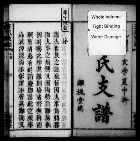 湖南王氏族谱-王氏支谱 [3卷,及卷首].pdf电子版插图2