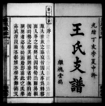 湖南王氏族谱-王氏支谱 [3卷,及卷首].pdf电子版插图3