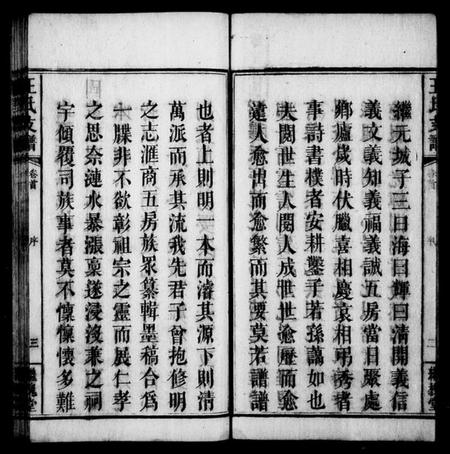 湖南王氏族谱-王氏支谱 [3卷,及卷首].pdf电子版插图5