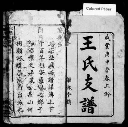 湖南王氏族谱-王氏支谱 [7卷,含卷首].pdf电子版插图2