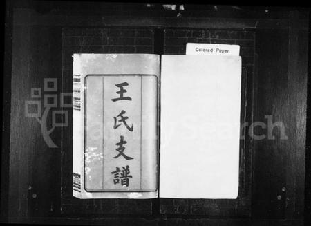 湖南王氏族谱-王氏支谱 [8卷].pdf电子版插图1