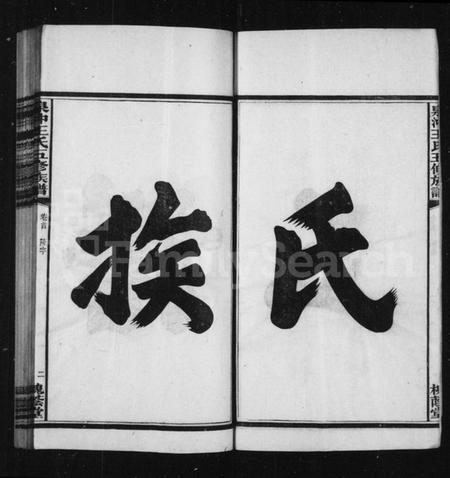 湖南王氏族谱-王氏族谱.pdf电子版插图4 湖南王氏族谱-王氏族谱.pdf电子版插图4