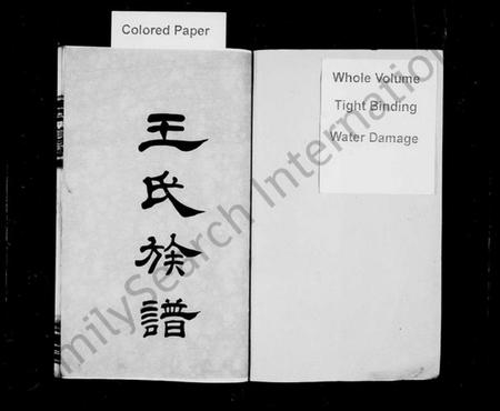 湖南王氏族谱-王氏族谱 [11卷,首3卷,末1卷].pdf电子版插图2