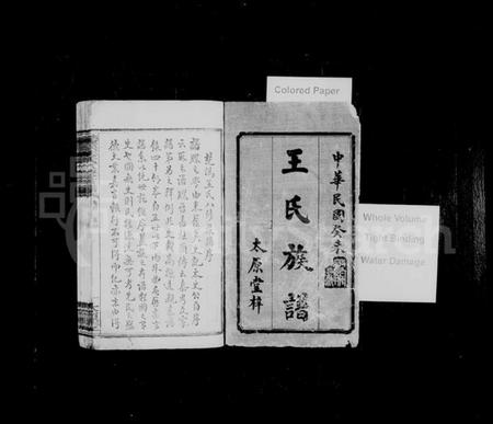 湖南王氏族谱-王氏族谱 [12卷,首2卷].pdf电子版插图2