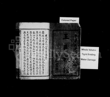 湖南王氏族谱-王氏族谱 [12卷,首2卷].pdf电子版插图3