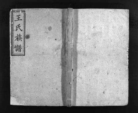 湖南王氏族谱-王氏族谱 [12卷].pdf电子版插图1