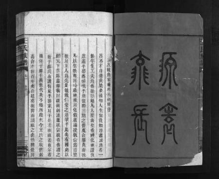 湖南王氏族谱-王氏族谱 [12卷].pdf电子版插图3