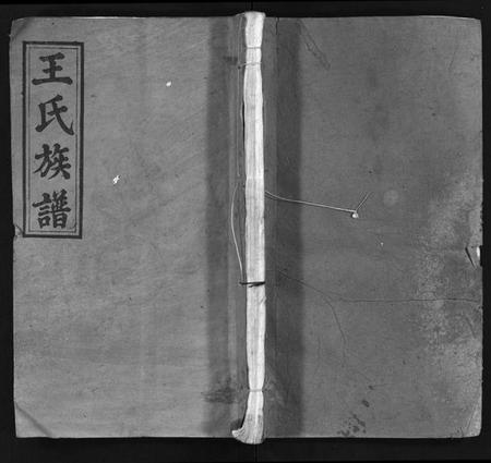 湖南王氏族谱-王氏族谱 [16卷,首1卷].pdf电子版插图1