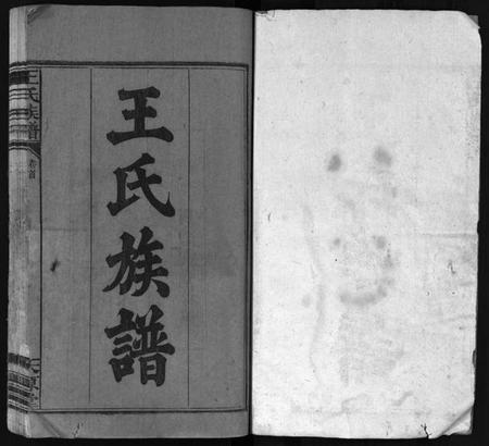 湖南王氏族谱-王氏族谱 [16卷,首1卷].pdf电子版插图2