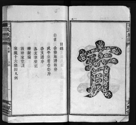 湖南王氏族谱-王氏族谱 [16卷,首1卷].pdf电子版插图5