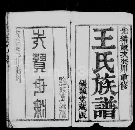 湖南王氏族谱-王氏族谱 [18卷,及卷首].pdf电子版插图2