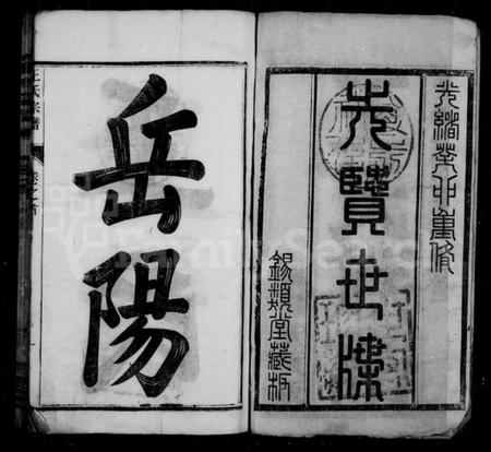 湖南王氏族谱-王氏族谱 [18卷,及卷首].pdf电子版插图4