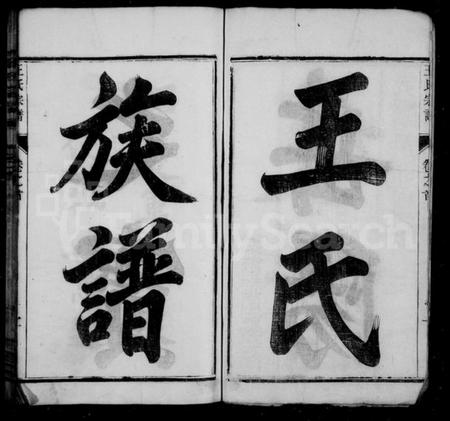 湖南王氏族谱-王氏族谱 [18卷,及卷首].pdf电子版插图5