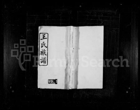 湖南王氏族谱-王氏族谱 [37卷,首3卷].pdf电子版