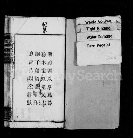 湖南王氏族谱-王氏族谱 [37卷,首3卷].pdf电子版插图1