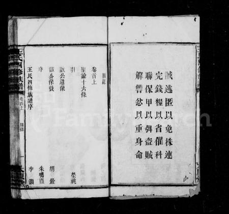 湖南王氏族谱-王氏族谱 [37卷,首3卷].pdf电子版插图2