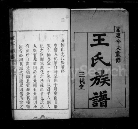 湖南王氏族谱-王氏族谱 [3卷,首1卷].pdf电子版插图2