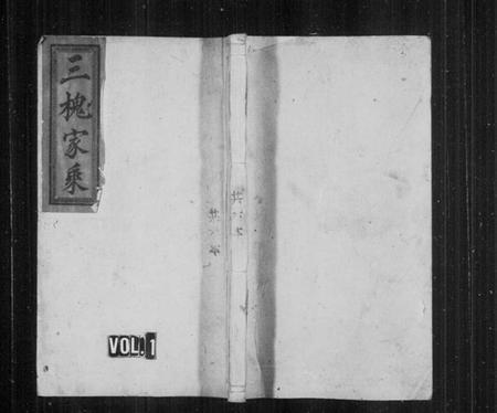 湖南王氏族谱-王氏族谱 [5卷,及卷首].pdf电子版插图1