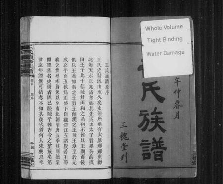 湖南王氏族谱-王氏族谱 [5卷,及卷首].pdf电子版插图3