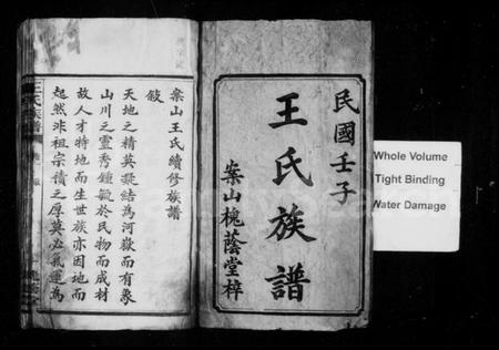 湖南王氏族谱-王氏族谱 [8卷].pdf电子版插图3