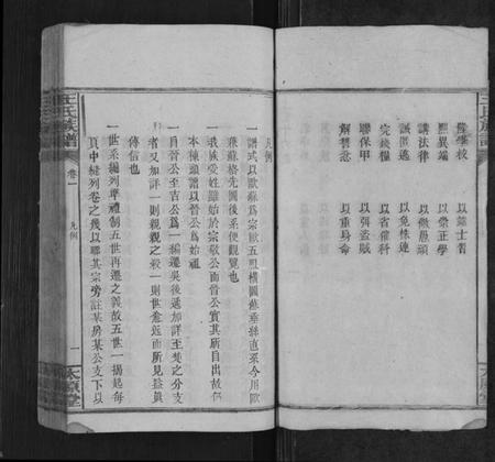 湖南王氏族谱-王氏族谱[8卷].pdf电子版插图2