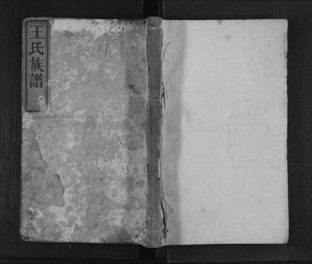 湖南王氏族谱-王氏族谱[不分卷].pdf电子版