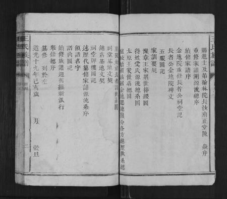 湖南王氏族谱-王氏族谱[不分卷].pdf电子版插图2