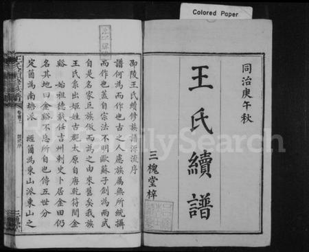 湖南王氏族谱-王氏续修族谱 [12卷,首2卷].pdf电子版插图2