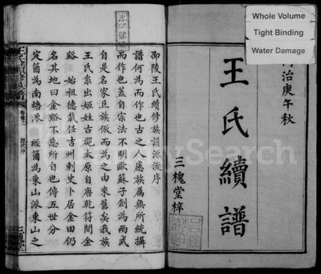 湖南王氏族谱-王氏续修族谱 [12卷,首2卷].pdf电子版插图3