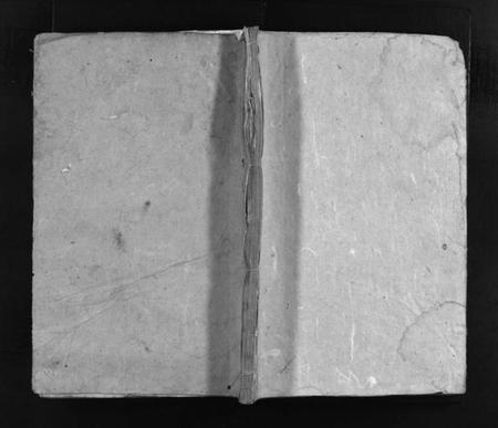 湖南王氏族谱-王氏续修族谱 [总卷数不详].pdf电子版插图1