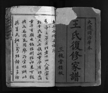 湖南王氏族谱-王氏续修族谱 [总卷数不详].pdf电子版插图2