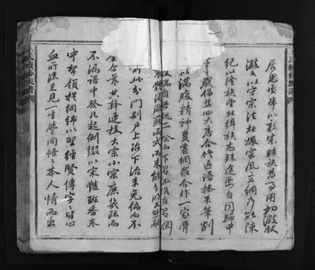 湖南王氏族谱-王氏续修族谱 [总卷数不详].pdf电子版插图4