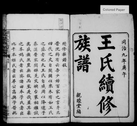 湖南王氏族谱-苏塘王氏续修族谱 [8卷,含卷首].pdf电子版插图2