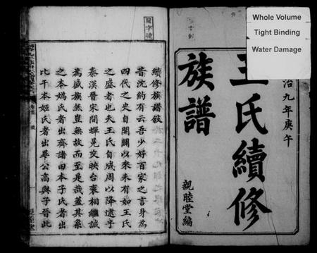 湖南王氏族谱-苏塘王氏续修族谱 [8卷,含卷首].pdf电子版插图3