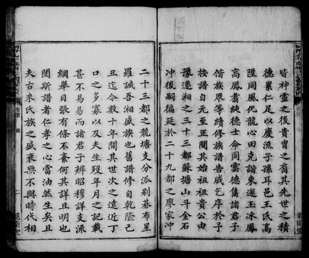 湖南王氏族谱-苏塘王氏续修族谱 [8卷,含卷首].pdf电子版插图4