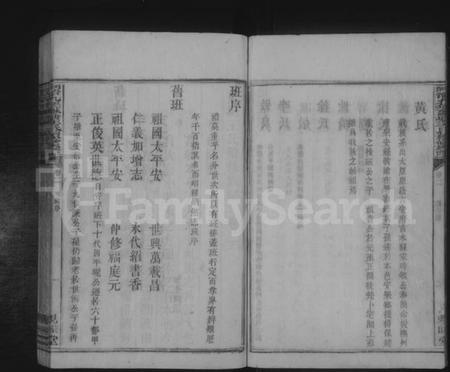 湖南王氏族谱-苏塘王氏续修族谱 [8卷,含卷首].pdf电子版插图5