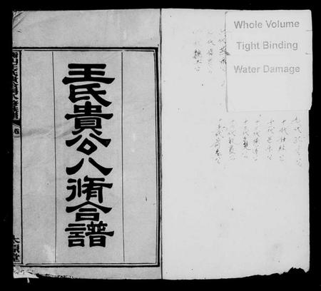 湖南王氏族谱-衡山王氏贵公房八修族谱 [12卷].pdf电子版插图2