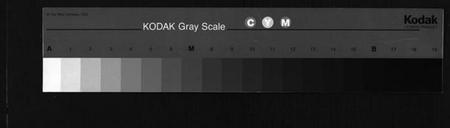 湖南王氏族谱-衡阳渔溪王氏房谱 [残卷].pdf电子版