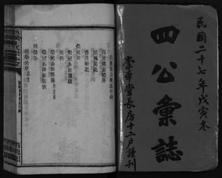 湖南王氏族谱-衡阳渔溪王氏房谱 [残卷].pdf电子版插图2