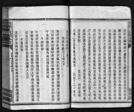 湖南王氏族谱-衡阳渔溪王氏房谱 [残卷].pdf电子版插图5