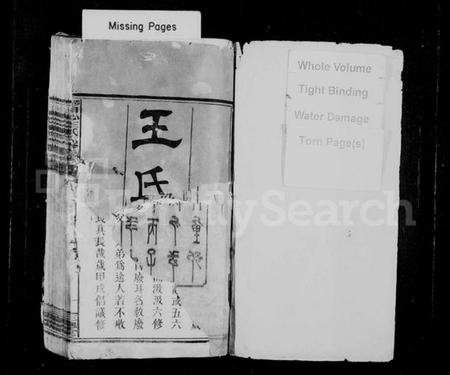 湖南王氏族谱-邵陵田心王氏六修族谱 [39卷,首末各1卷].pdf电子版插图2